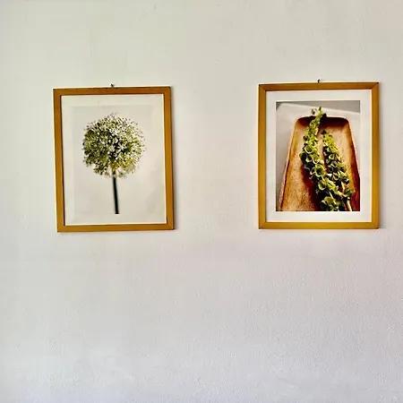 Stephanie アパート *